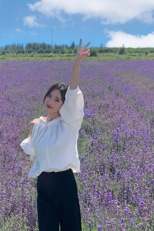 镜花缘之决战女儿国百度百科